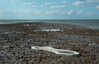 The Drowning of Tuvalu